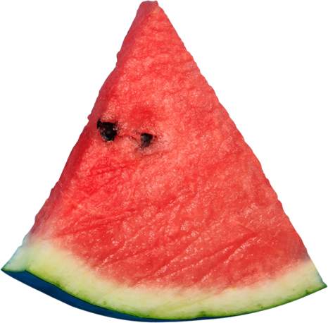fruit
