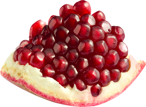 fruit