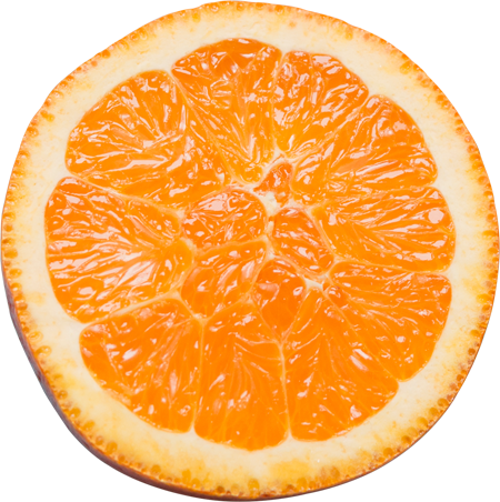 fruit