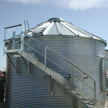 Optional sidewall ladders