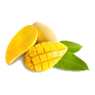 intro-product-1