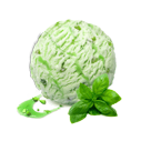 Basil