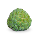 Custard Apple