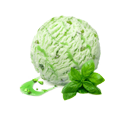 Basil