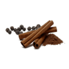 Chocolate Aztec