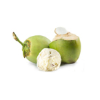 Tender Coconut Ice Cream