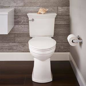VorMax Plus Elongated Complete Toilet - American Standard
