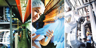 2013 AnnualReport