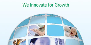 2013 AnnualReport