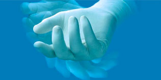 2013 AnnualReport