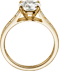 srceen-ring