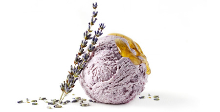 Honey Lavender Ice Cream