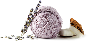 Vegan Lavender Ice Cream