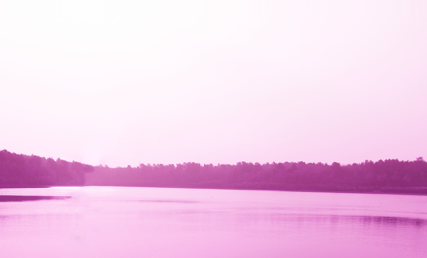 home-banner