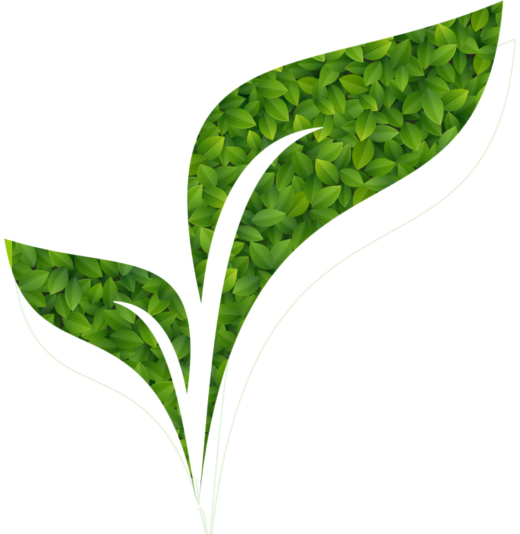 From Small Seeds to Big Trees